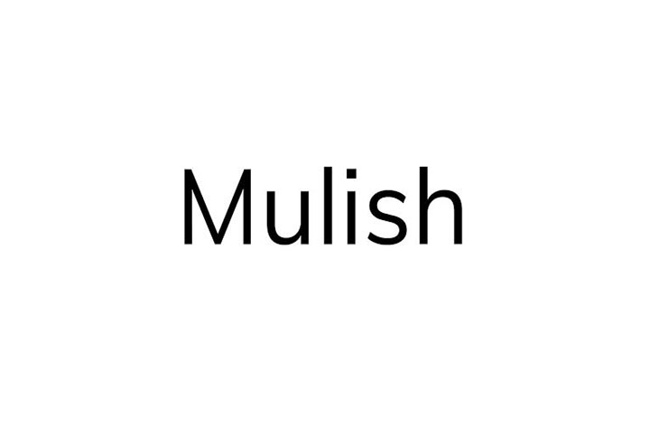 Mulish Font Family Free Download
